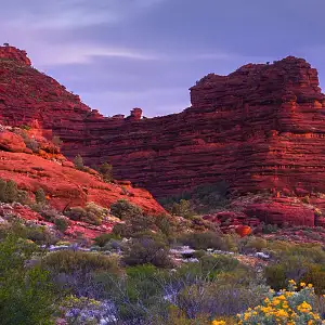 Palm Valley Outback Safari by 4WD