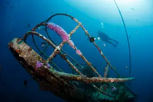 Canterbury Wreck and Reef Dive