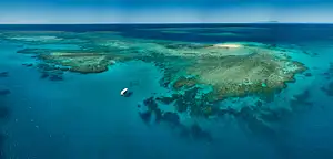 Great Barrier Reef half day snorkelling tour