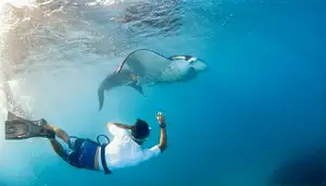 7 day coconut cruiser Fiji