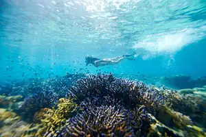 12 DAY FIJI EXPLORER - AWESOME ADVENTURES FIJI