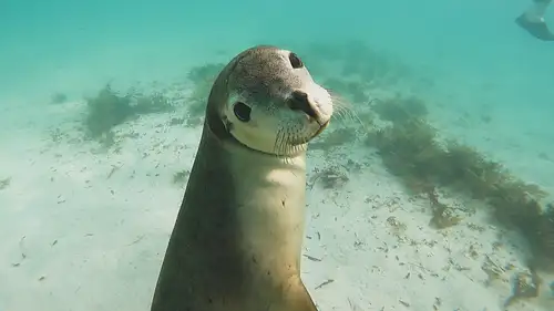 Tours in Western Australia