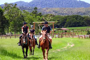Guided horse riding with petting zoo entry