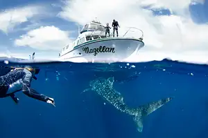 ningaloo reef tours