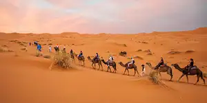 7 Days Moroccan Desert Adventure: River Canyons & Camels | G Adventures