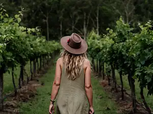 Tamborine Mountain - Wine Tasting Tour - From Brisbane or Gold Coast