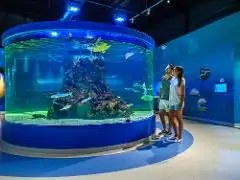 Dolphin discovery centre interpretive centre