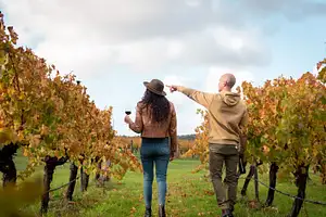 Hidden Gems - Wine, local produce & Nature Tour | Full Day Tour